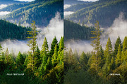 Fuji Fortia SP, a Preset Add-On by colorituals (Thumbnail 6 of 9)