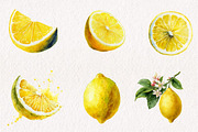 Watercolor Lemon Clipart, an Illustration by CreationArt (Thumbnail 6 of 7)