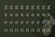 Clayton – Elegant Serif Typeface, a Serif Font by Webhance Studio (Thumbnail 8 of 10)