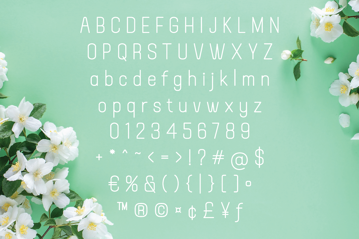 Barleto-A true single line, a Sans Serif Font by Lemon Studio Type (Photo 3 of 5)
