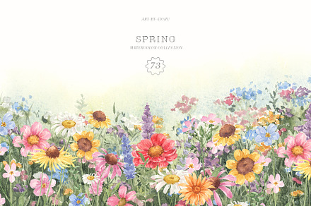 Spring Wildflowers, a Decorative Illustration by LiChu Art
