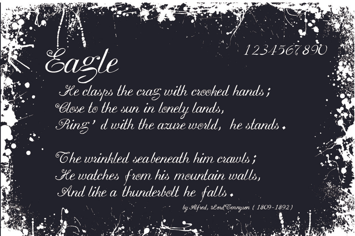 eagle 1 preview 3