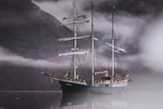 Dark & Moody Lightroom Presets, an Action Add-On by PhotoMarket (Thumbnail 32 of 65)