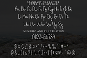 Skyline, a Handwritten Font by FreshTypeINK (Thumbnail 7 of 8)