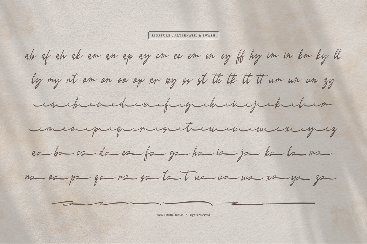 La gratesa | Signature Script, a Script Font by Denustudios (Photo 12 of 12)