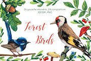 Forest Birds - Gouache Clipart Set, an Animal Illustration by Mashamashastu (Thumbnail 1 of 11)