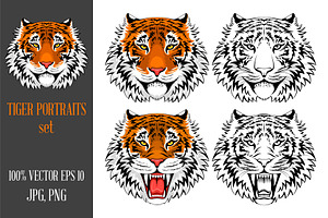 Tiger portraits set, an Animal Illustration by Vector beauty