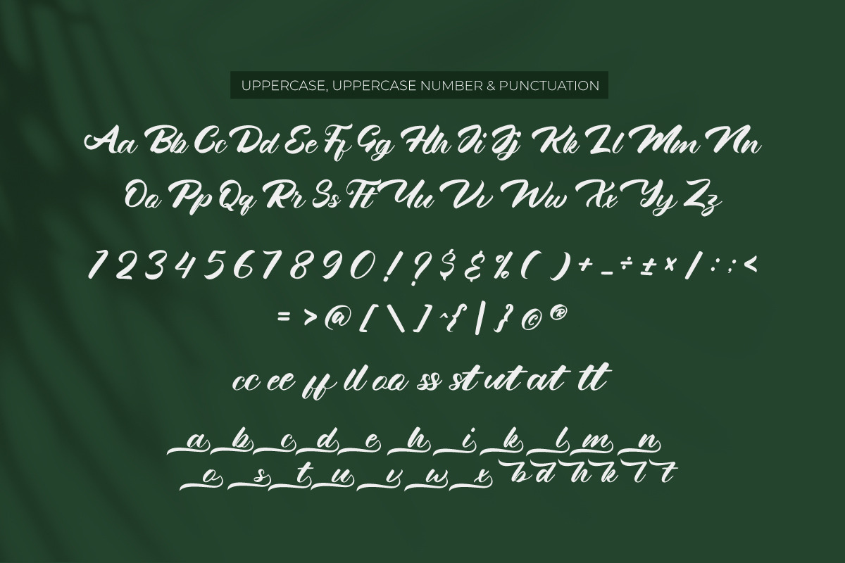 Minah - Handwriting Script Font, a Handwritten Font by Afkari Studio (Photo 2 of 10)