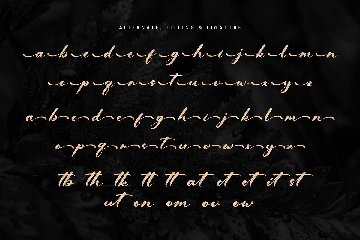 Dealyo, a Handwritten Font by Letterara (Photo 12 of 14)