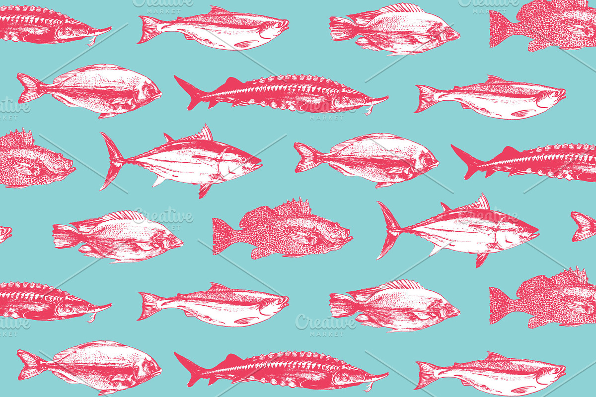Fish, an Animal Illustration by Vera Holera (Photo 5 of 7)