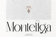 Monteilga Serif Font, a Serif Font by Hishand Studio (Thumbnail 1 of 10)