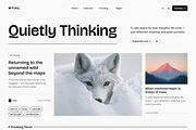 Foks - Lightweight Blog WP theme, a WordPress Template by AliThemes (Thumbnail 4 of 6)