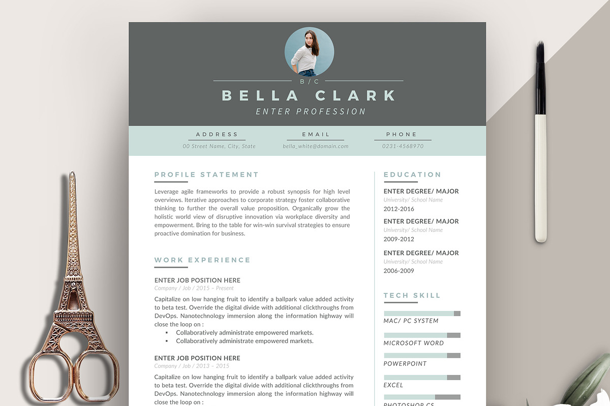 Professional Resume Template RE002, a Resume Template by Draca Design Co (Photo 1 of 4)
