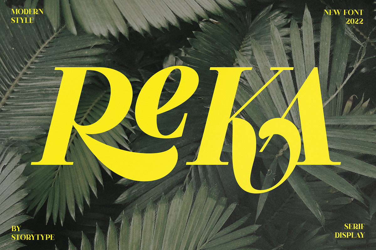 Reka Modern Display Font, a Serif Font by Storytype Studio (Photo 1 of 15)