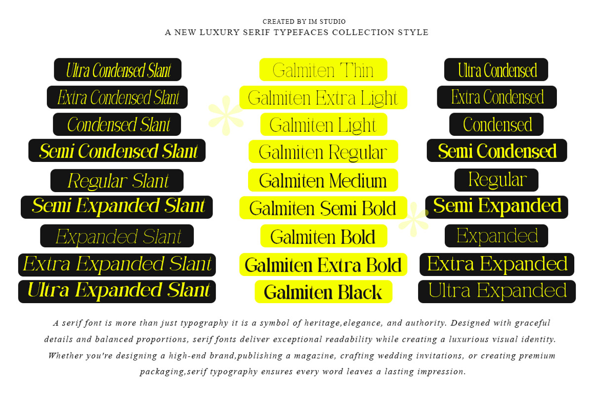 Galmiten | 243 Font Styles, a Serif Font by IM Studio (Photo 2 of 12)