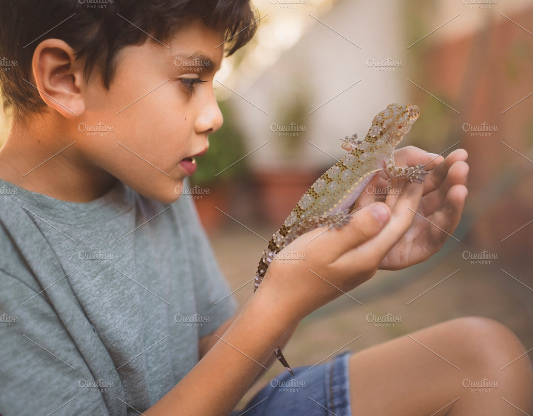 Child holding gecko in hands, a Person Photo by DanFLCreativo