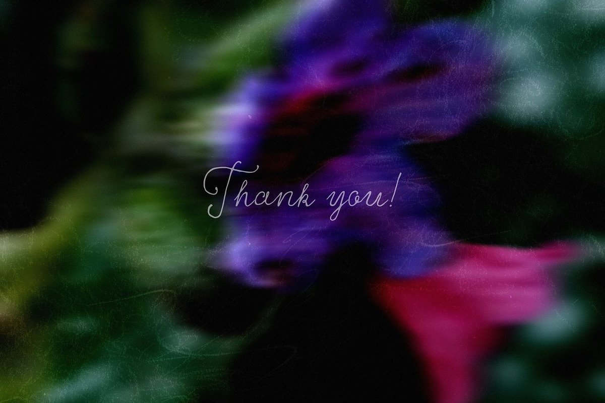 Dark bloom. Floral Backgrounds, a Background Graphic by PaperJamLab (Photo 13 of 14)