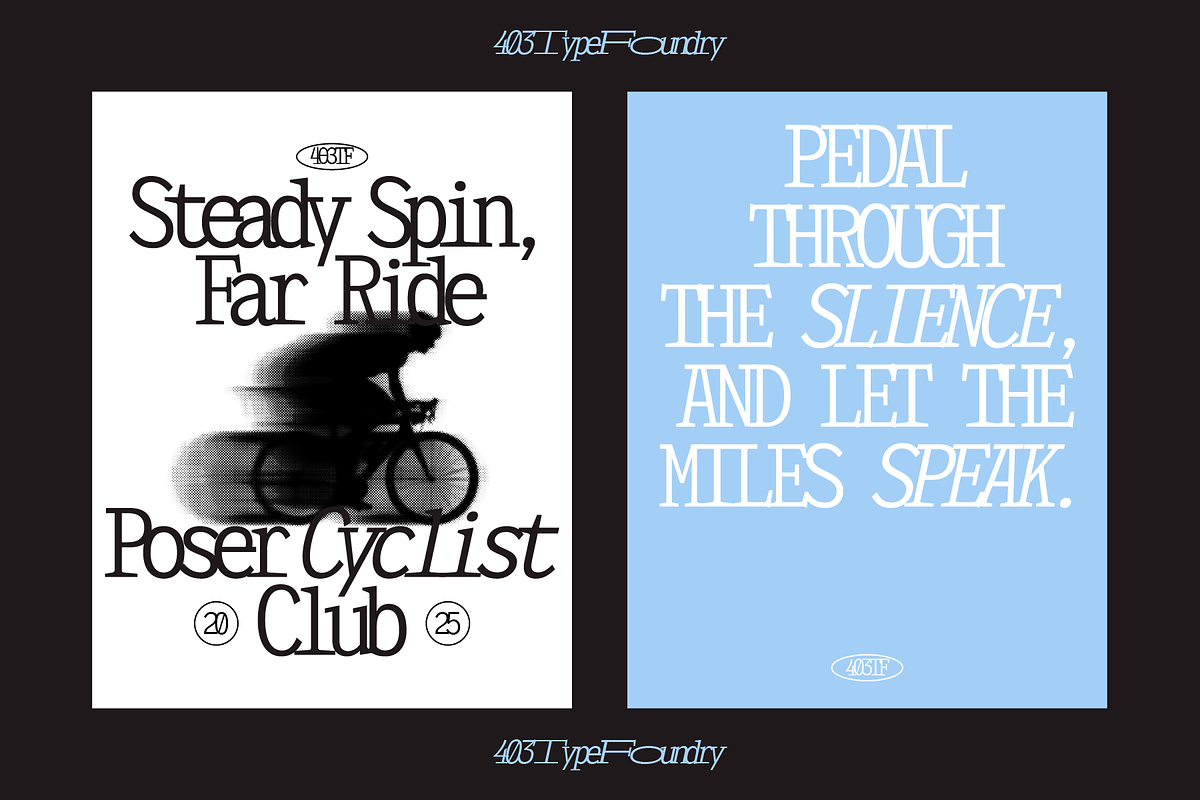 403 Felgrit, a Slab Serif Font by 403 Type Foundry (Photo 5 of 15)