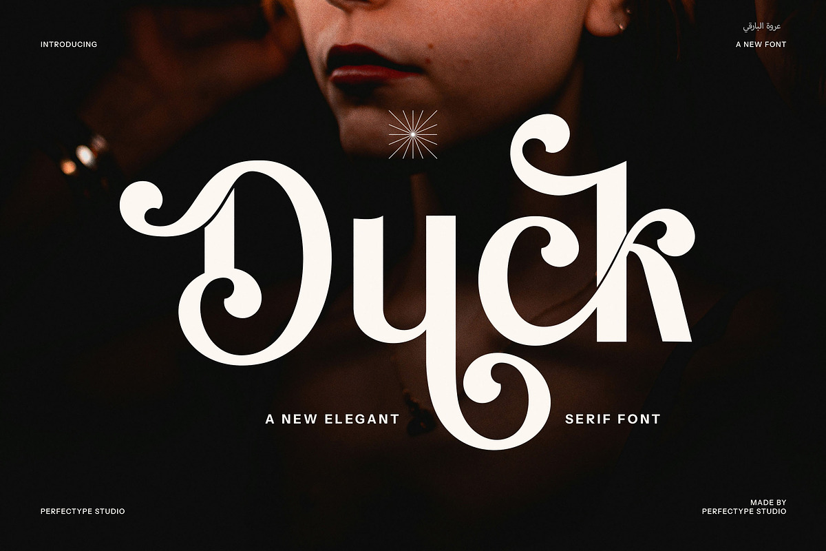 Duck Modern Sans Serif Font, a Serif Font by Perfectype (Photo 1 of 8)