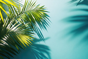 Tropical Palm Leaves,Blue Background, a Nature Photo by Virgo Studio