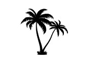 Tropical Palm Tree Silhouette Bundle, an Illustration by Amazin_art (Thumbnail 5 of 21)