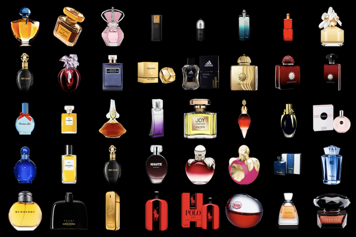 50% Off-Famous Perfumes 64 Edition, an Object Graphic by Shop (Photo 4 of 6)