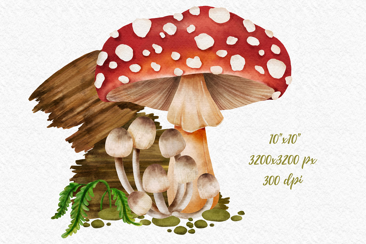 Mushroom Forest watercolor clipart, a Decorative Illustration by AkiraVilla (Photo 5 of 11)