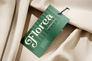 Astaria - Vintage Luxury Serif, a Serif Font by Brand Earth (Thumbnail 6 of 7)