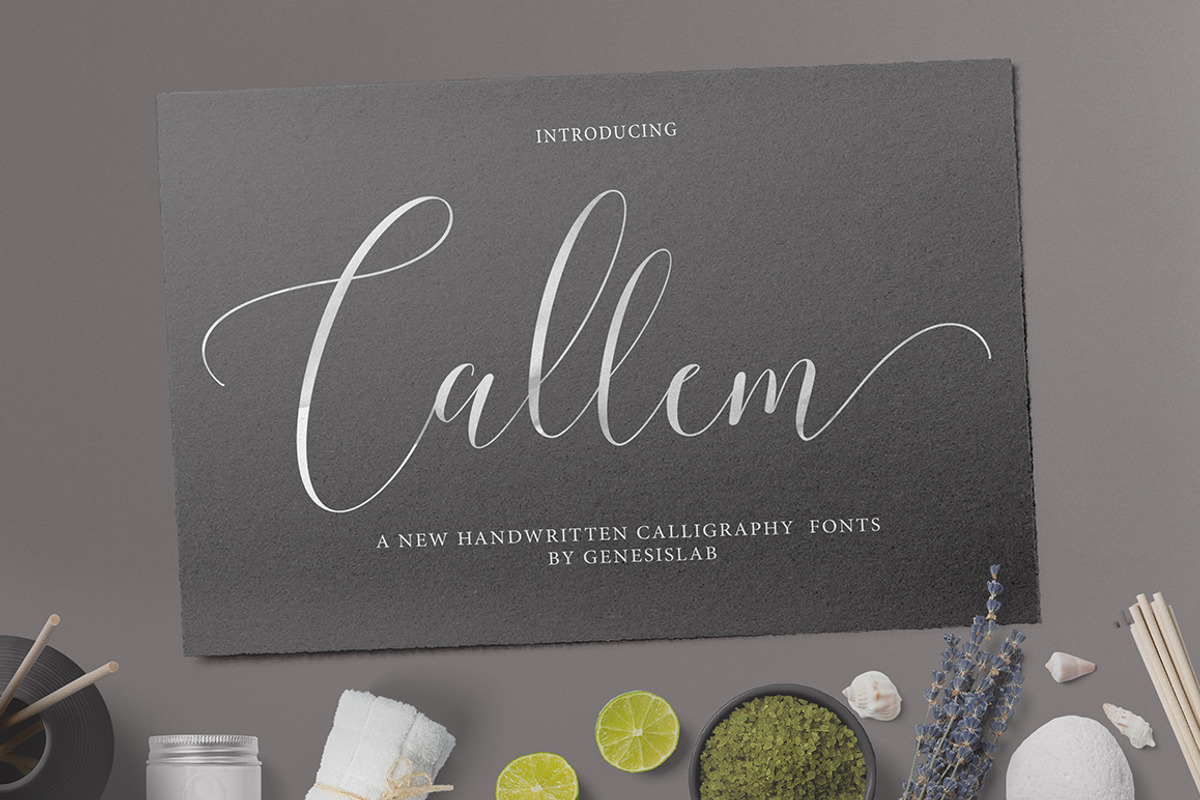 Calligrapher's Font Bundle (98%Off) preview 5