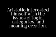 Berneray Serif Font Family, a Serif Font by Ryul Davidson (Thumbnail 18 of 19)
