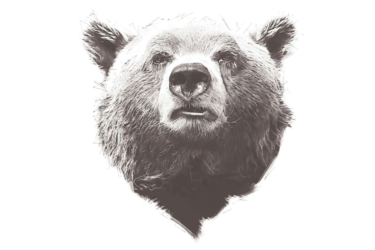 Grizzly Bear Illustration, an Illustration by Digital Art Downloads (Photo 3 of 3)