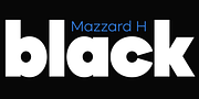 Mazzard L, a Sans Serif Font by Pepper Type (Thumbnail 12 of 15)