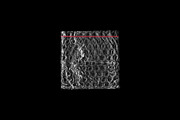 High Res Plastic Textures, a Texture Graphic by dbdslondon (Thumbnail 8 of 8)