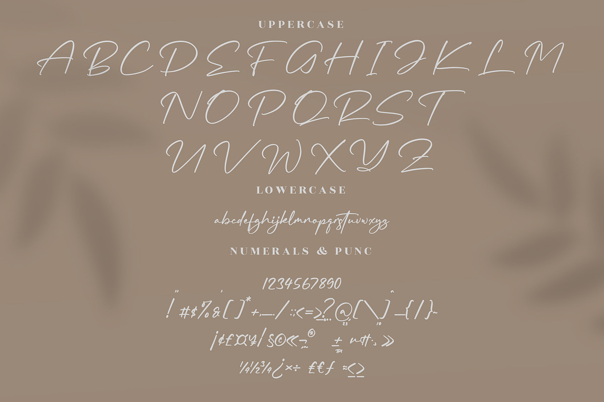 Rundreams Signature Modern Signature, a Script Font by Letterena Studios Script (Photo 13 of 15)