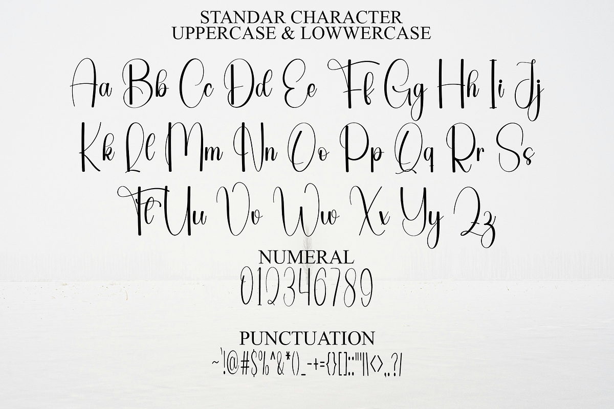 Festive Write, a Handwritten Font by InermediaSTUDIO (Photo 6 of 8)