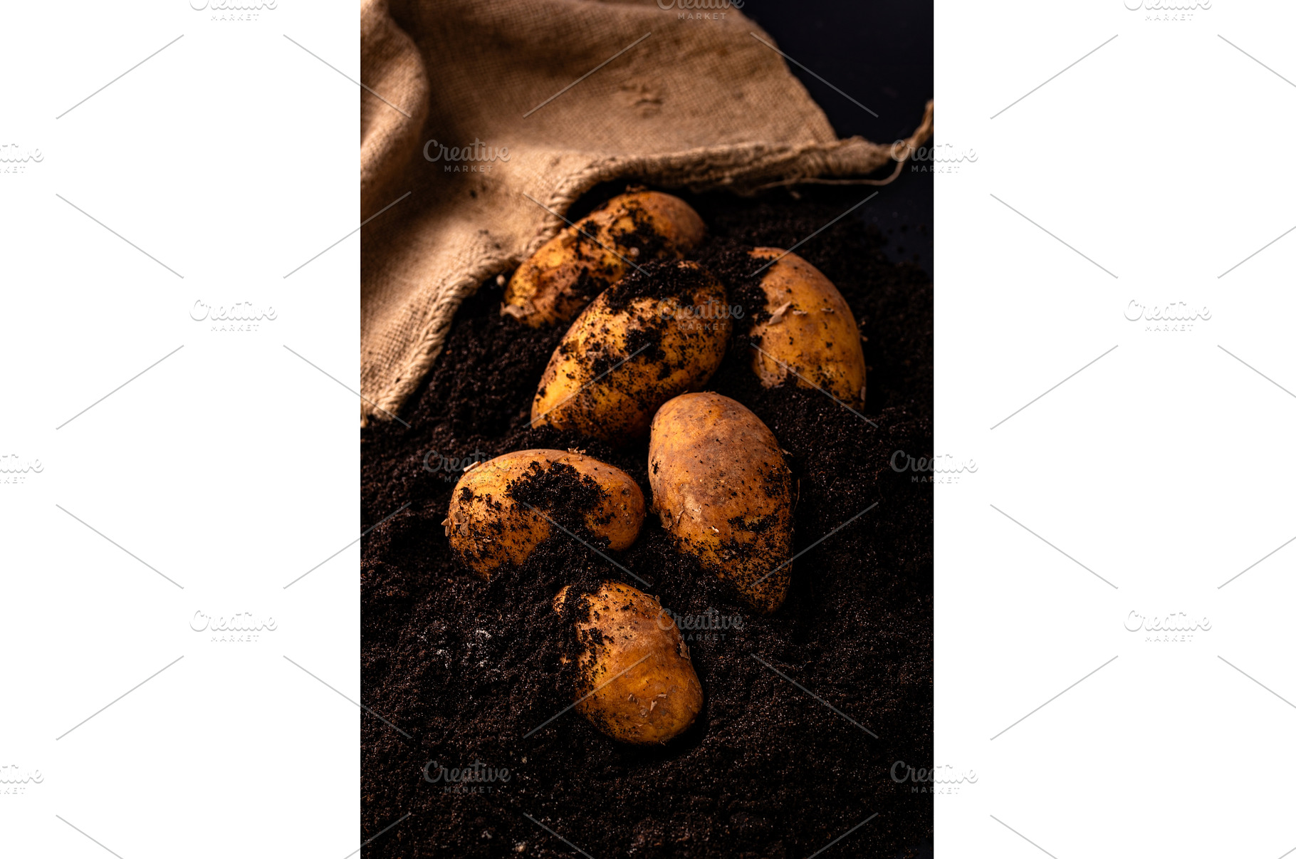Raw young potato in the ground, a Food & Drink Photo by Yulia Furman