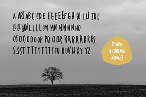 Passageron Handwritten Font