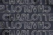Rustic Summer Paradise Font Family, a Sans Serif Font by SilverStag Type Foundry (Thumbnail 5 of 9)
