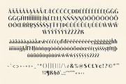 Diona Sans - Font Family, a Sans Serif Font by iqbal habibi (Thumbnail 7 of 11)