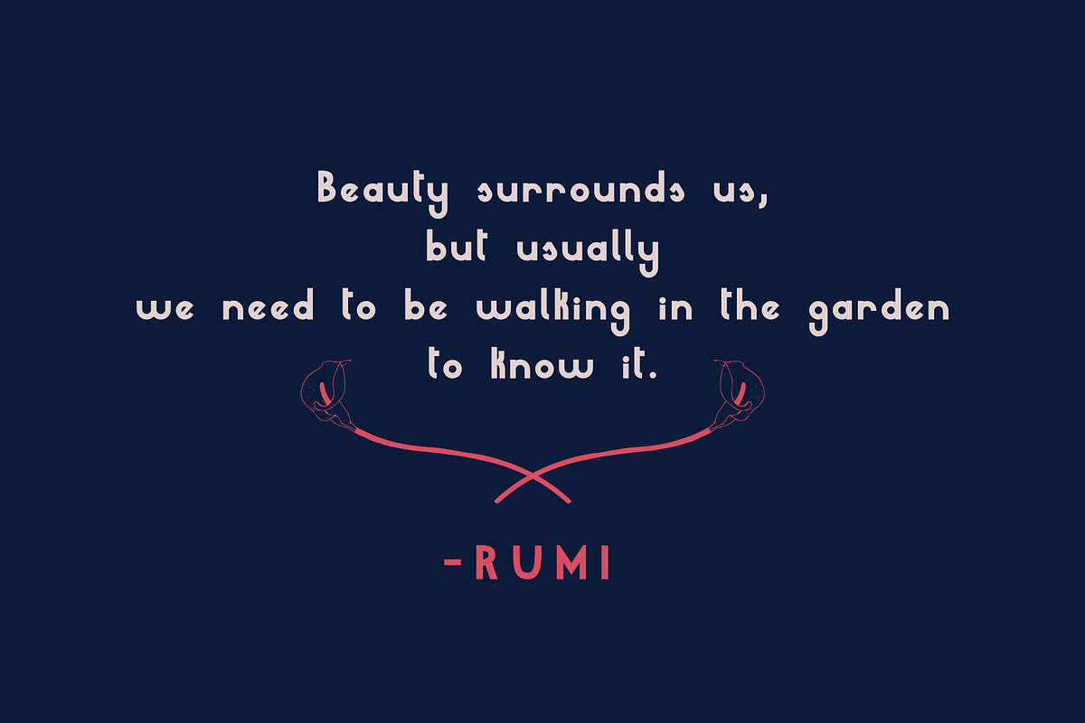 Mille Fleur | Sans Serif Font Duo preview 3