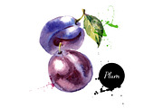 20 Watercolor Fruits Vector, a Food Illustration by Elena Pimonova (Thumbnail 2 of 5)