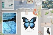 Australian Animals Vol III, an Animal Illustration by Jen Digital Art (Thumbnail 4 of 6)