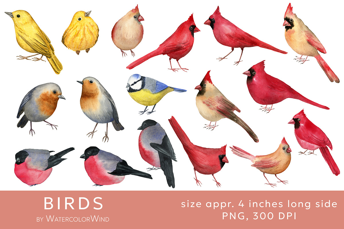 Birds Watercolor Clipart, an Animal Illustration by WatercolorWind (Photo 2 of 3)