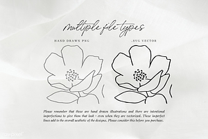 Hand Drawn Botanical Logo & Branding