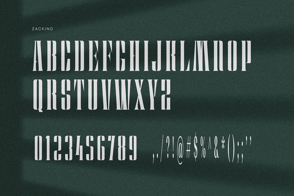 Zacking Elegant Serif Font Typeface, a Serif Font by Graphicxell (Photo 10 of 10)