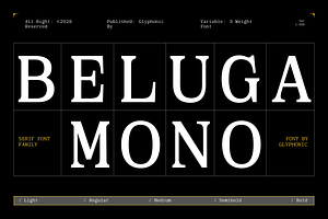 GC Beluga Mono - Elegant Modern Mono, a Serif Font by Glyphonic