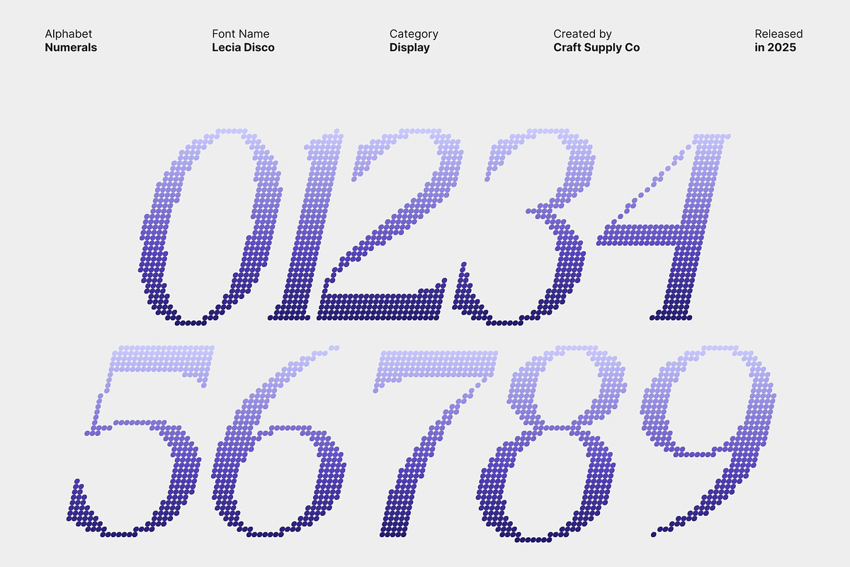 Lecia Disco, a Serif Font by Craft Supply Co. (Photo 4 of 8)