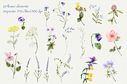 Forest Tales Watercolor Collection, a Decorative Illustration by Aurella Art (Thumbnail 2 of 17)