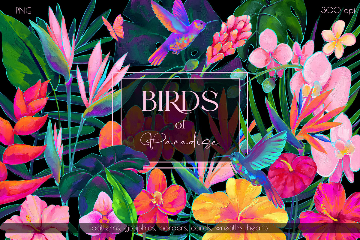 Birds of Paradise graphics/patterns, a Pattern Graphic by Salted Galaxy (Photo 1 of 14)