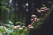 Moody Lightroom Presets - Landscapes, an Action Add-On by PhotoMarket (Thumbnail 9 of 35)